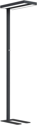 Lámparas de pie NCC-Licht, Lara - Lámpara LED de pie, color negro, 2 x 40 W, 8800 lm, luz blanca neutra, 4000 K, UGR< 17, regulable